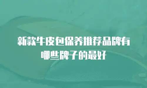 新款牛皮包保养推荐品牌有哪些牌子的最好