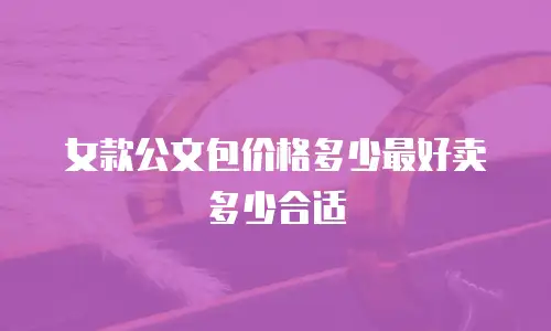 女款公文包价格多少最好卖多少合适