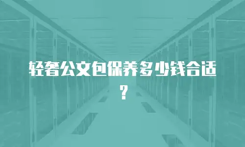 轻奢公文包保养多少钱合适？
