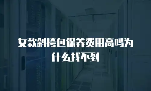 女款斜挎包保养费用高吗为什么找不到