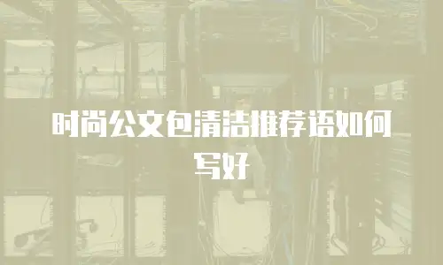 时尚公文包清洁推荐语如何写好