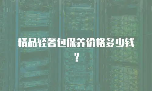 精品轻奢包保养价格多少钱？