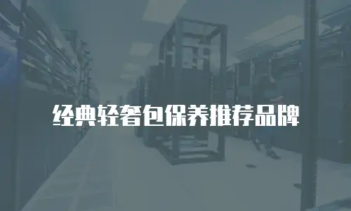 经典轻奢包保养推荐品牌