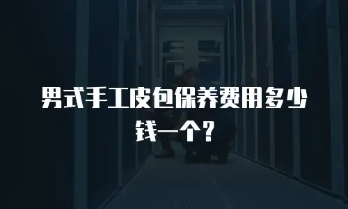 男式手工皮包保养费用多少钱一个？