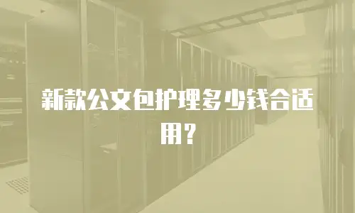 新款公文包护理多少钱合适用？