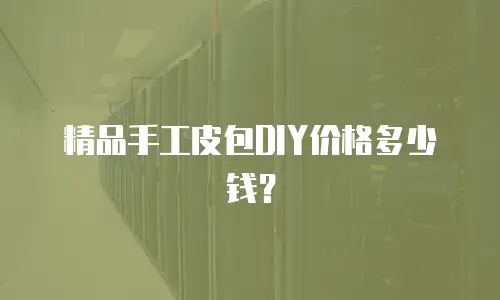 精品手工皮包DIY价格多少钱？
