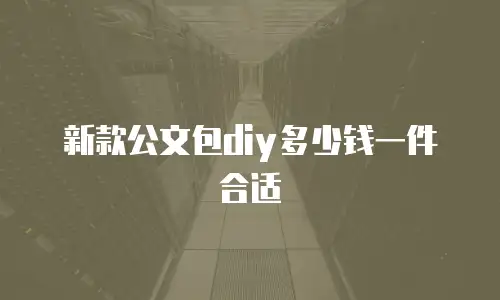 新款公文包diy多少钱一件合适