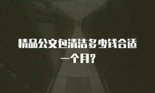 精品公文包清洁多少钱合适一个月？