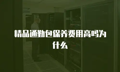 精品通勤包保养费用高吗为什么