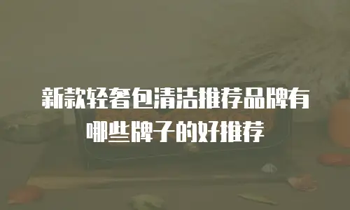 新款轻奢包清洁推荐品牌有哪些牌子的好推荐