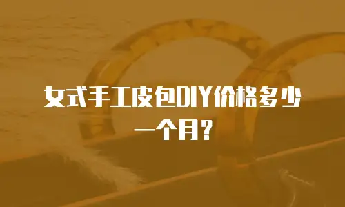 女式手工皮包DIY价格多少一个月？