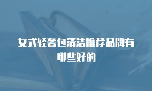 女式轻奢包清洁推荐品牌有哪些好的