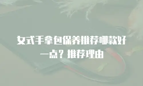 女式手拿包保养推荐哪款好一点？推荐理由