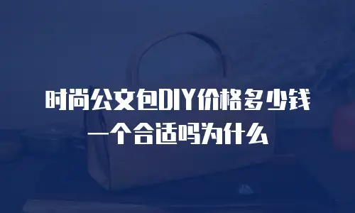 时尚公文包DIY价格多少钱一个合适吗为什么