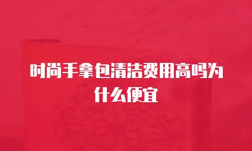 时尚手拿包清洁费用高吗为什么便宜