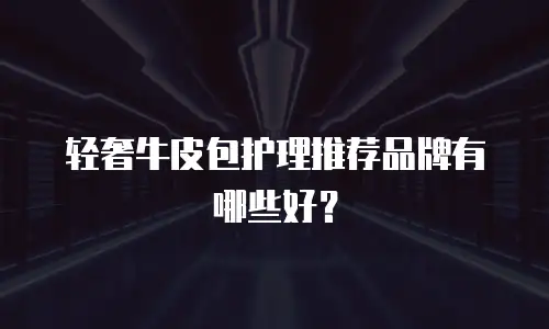 轻奢牛皮包护理推荐品牌有哪些好？