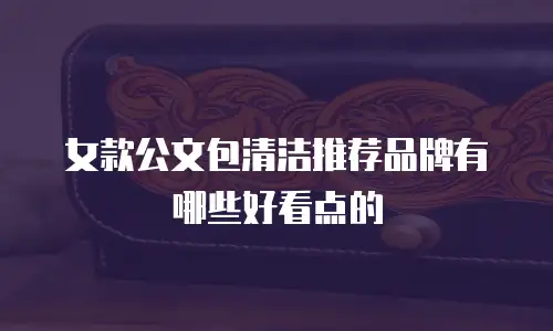 女款公文包清洁推荐品牌有哪些好看点的