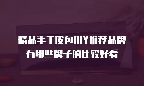 精品手工皮包DIY推荐品牌有哪些牌子的比较好看