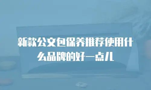 新款公文包保养推荐使用什么品牌的好一点儿