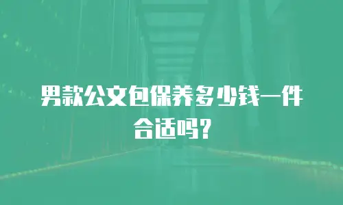 男款公文包保养多少钱一件合适吗？