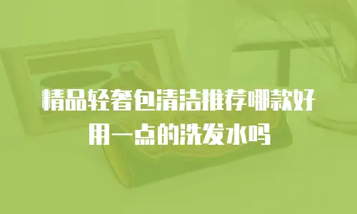 精品轻奢包清洁推荐哪款好用一点的洗发水吗