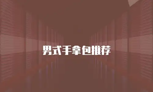 男式手拿包推荐