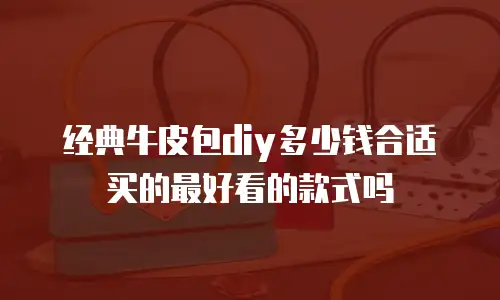 经典牛皮包diy多少钱合适买的最好看的款式吗