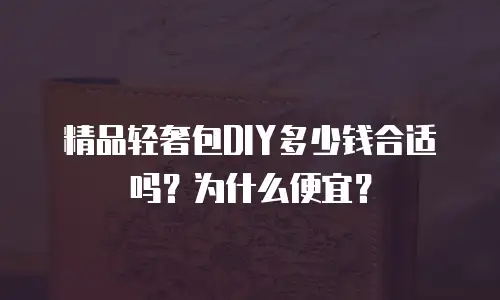 精品轻奢包DIY多少钱合适吗？为什么便宜？