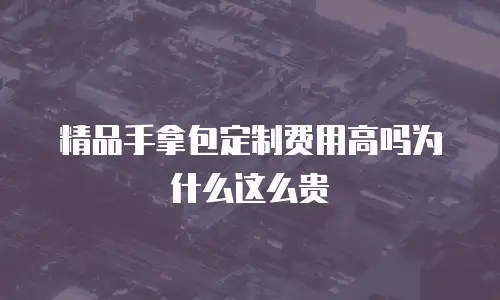 精品手拿包定制费用高吗为什么这么贵