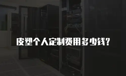 皮塑个人定制费用多少钱？