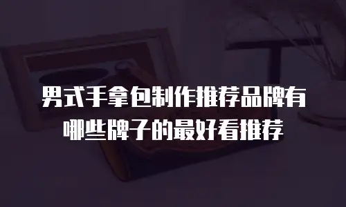 男式手拿包制作推荐品牌有哪些牌子的最好看推荐