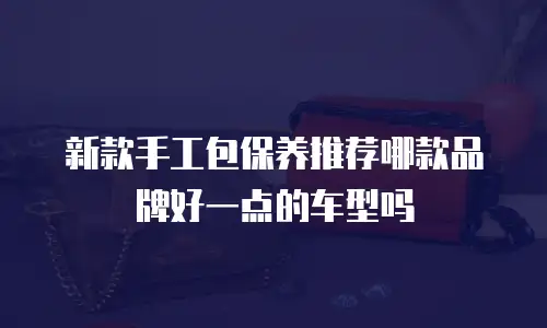 新款手工包保养推荐哪款品牌好一点的车型吗