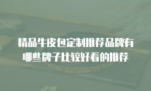 精品牛皮包定制推荐品牌有哪些牌子比较好看的推荐