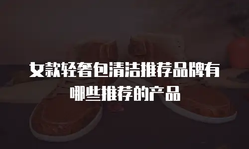 女款轻奢包清洁推荐品牌有哪些推荐的产品