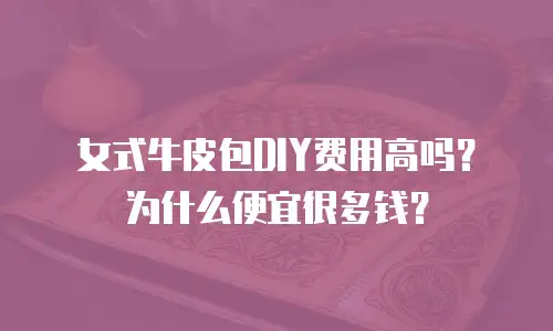 女式牛皮包DIY费用高吗？为什么便宜很多钱？