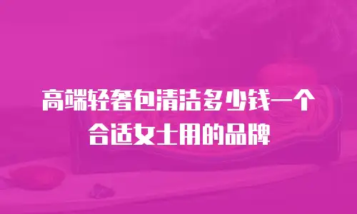 高端轻奢包清洁多少钱一个合适女士用的品牌