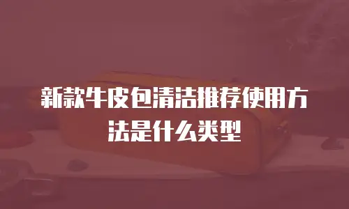 新款牛皮包清洁推荐使用方法是什么类型