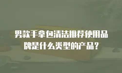 男款手拿包清洁推荐使用品牌是什么类型的产品？