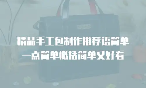 精品手工包制作推荐语简单一点简单概括简单又好看