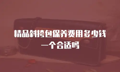 精品斜挎包保养费用多少钱一个合适吗