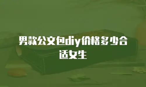 男款公文包diy价格多少合适女生