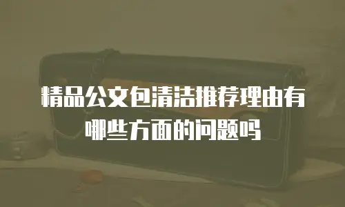 精品公文包清洁推荐理由有哪些方面的问题吗
