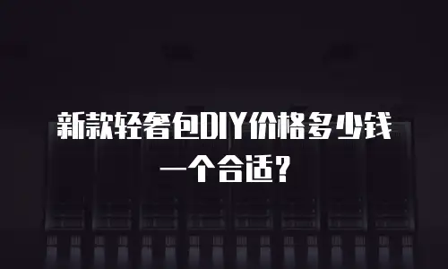 新款轻奢包DIY价格多少钱一个合适？