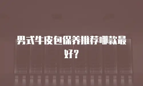 男式牛皮包保养推荐哪款最好？