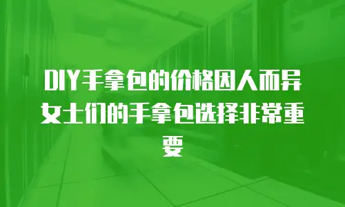 DIY手拿包的价格因人而异女士们的手拿包选择非常重要