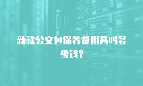 新款公文包保养费用高吗多少钱？