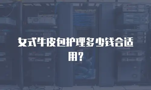 女式牛皮包护理多少钱合适用？