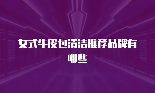 女式牛皮包清洁推荐品牌有哪些