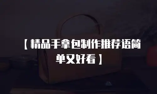【精品手拿包制作推荐语简单又好看】
