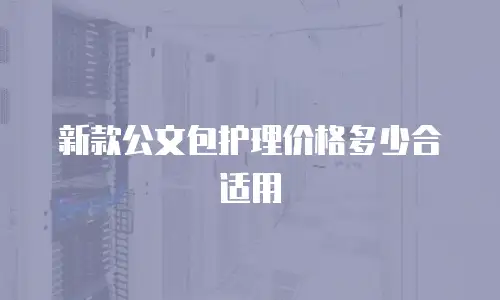 新款公文包护理价格多少合适用